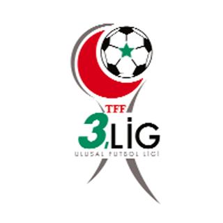 TFF 3. Lig statüsü